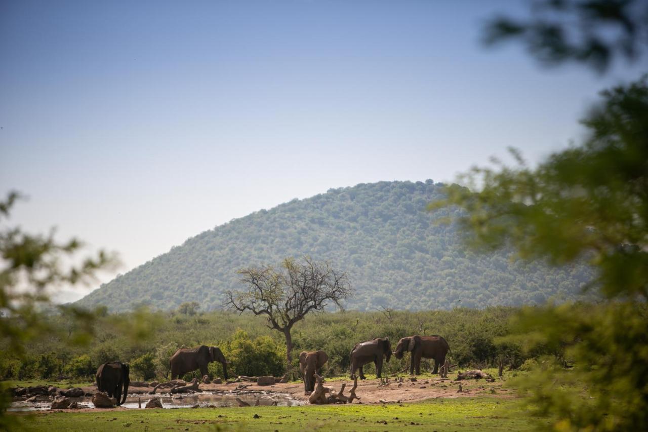Jamala Madikwe Villa Madikwe Wildreservaat Buitenkant foto