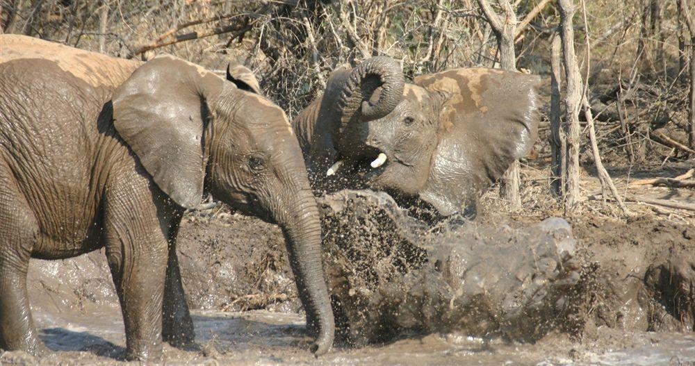 Jamala Madikwe Villa Madikwe Wildreservaat Buitenkant foto