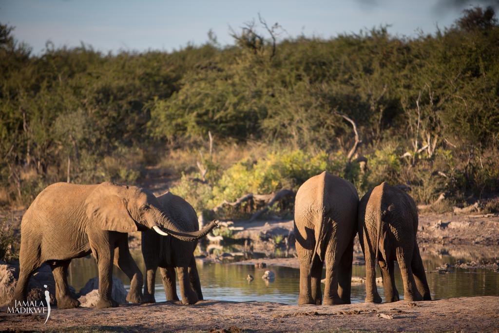 Jamala Madikwe Villa Madikwe Wildreservaat Buitenkant foto